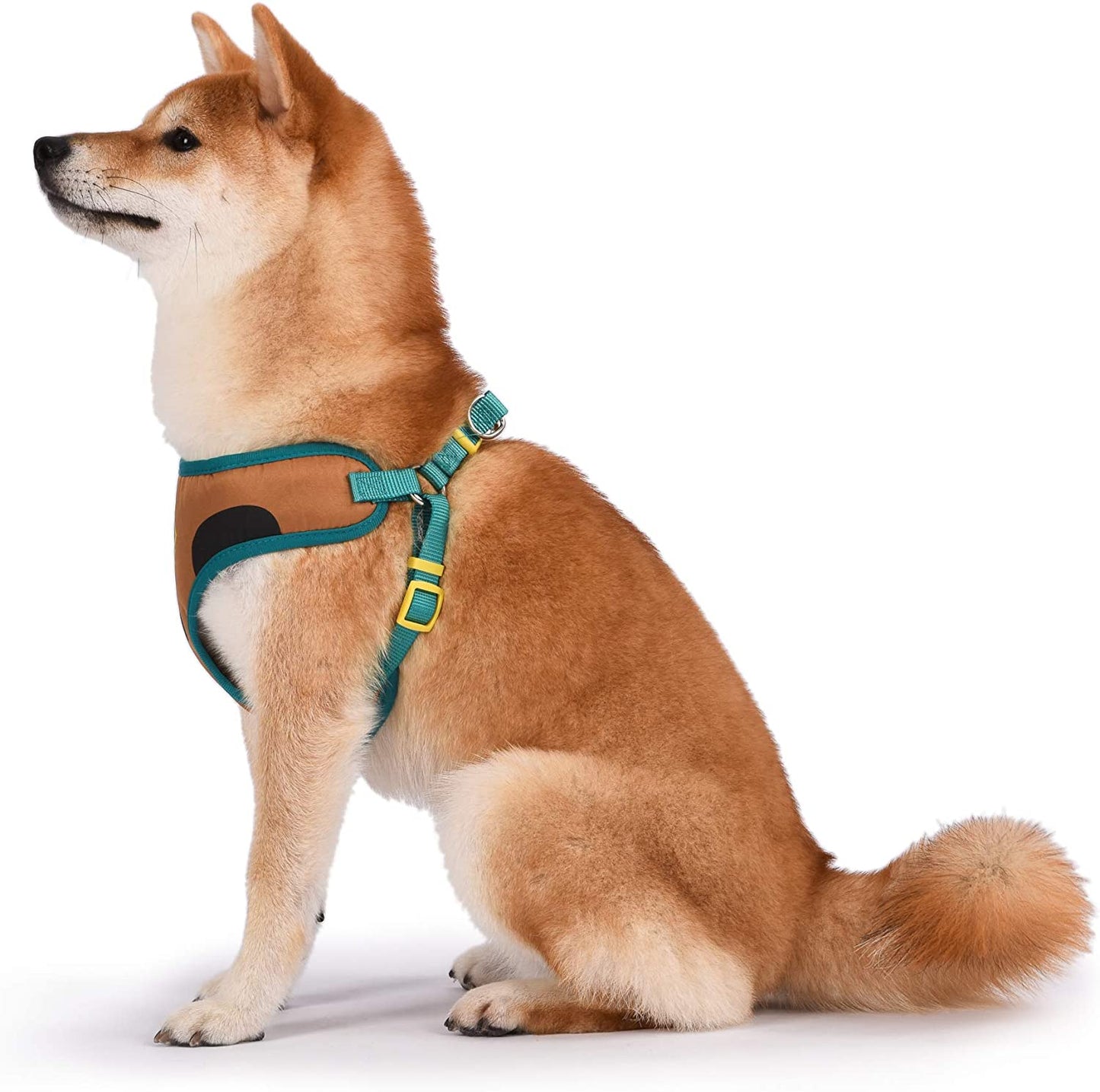 Warner Brothers Dog Harness - Soft, Comfortable Large Dog Harness - No Pull Tan and Blue