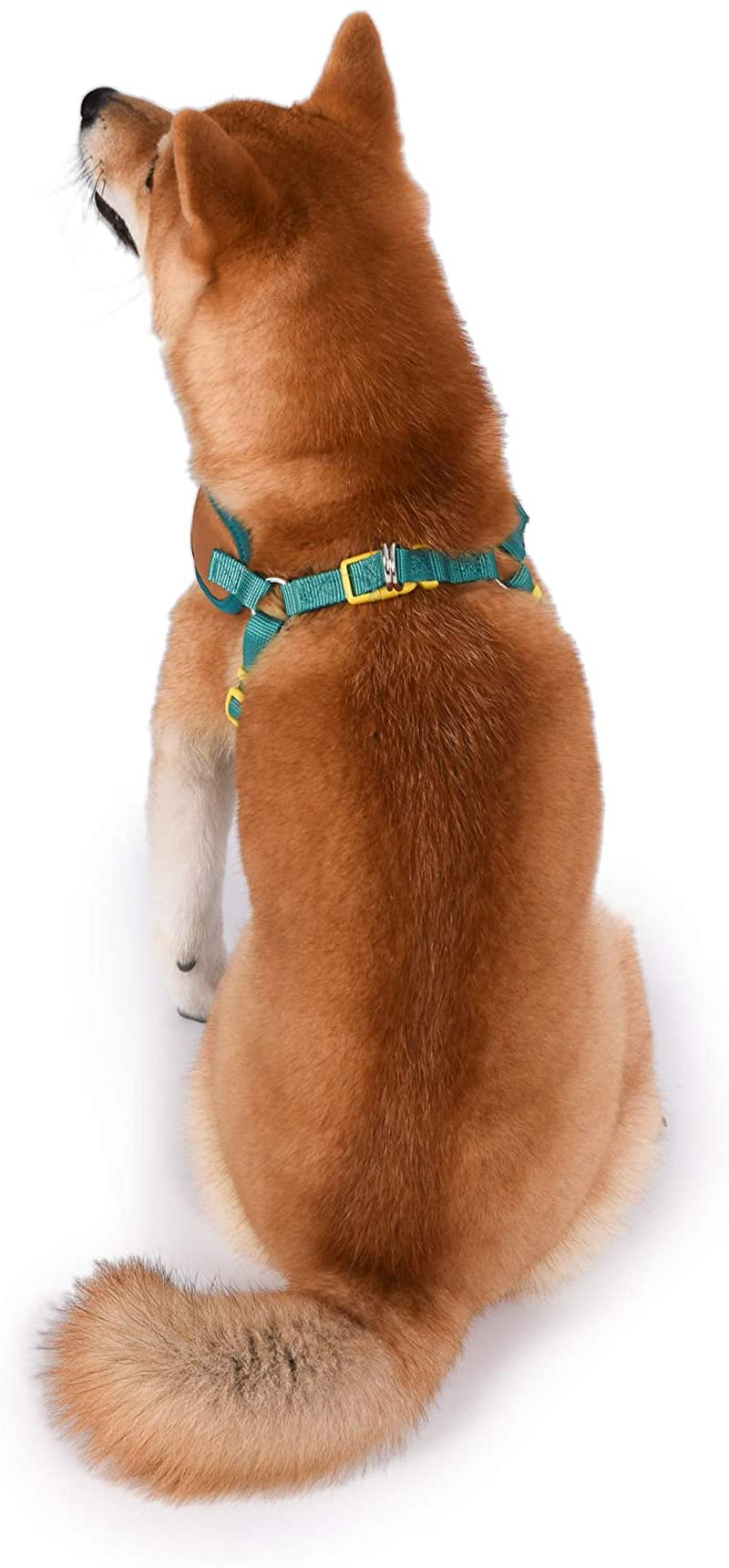 Warner Brothers Dog Harness - Soft, Comfortable Large Dog Harness - No Pull Tan and Blue