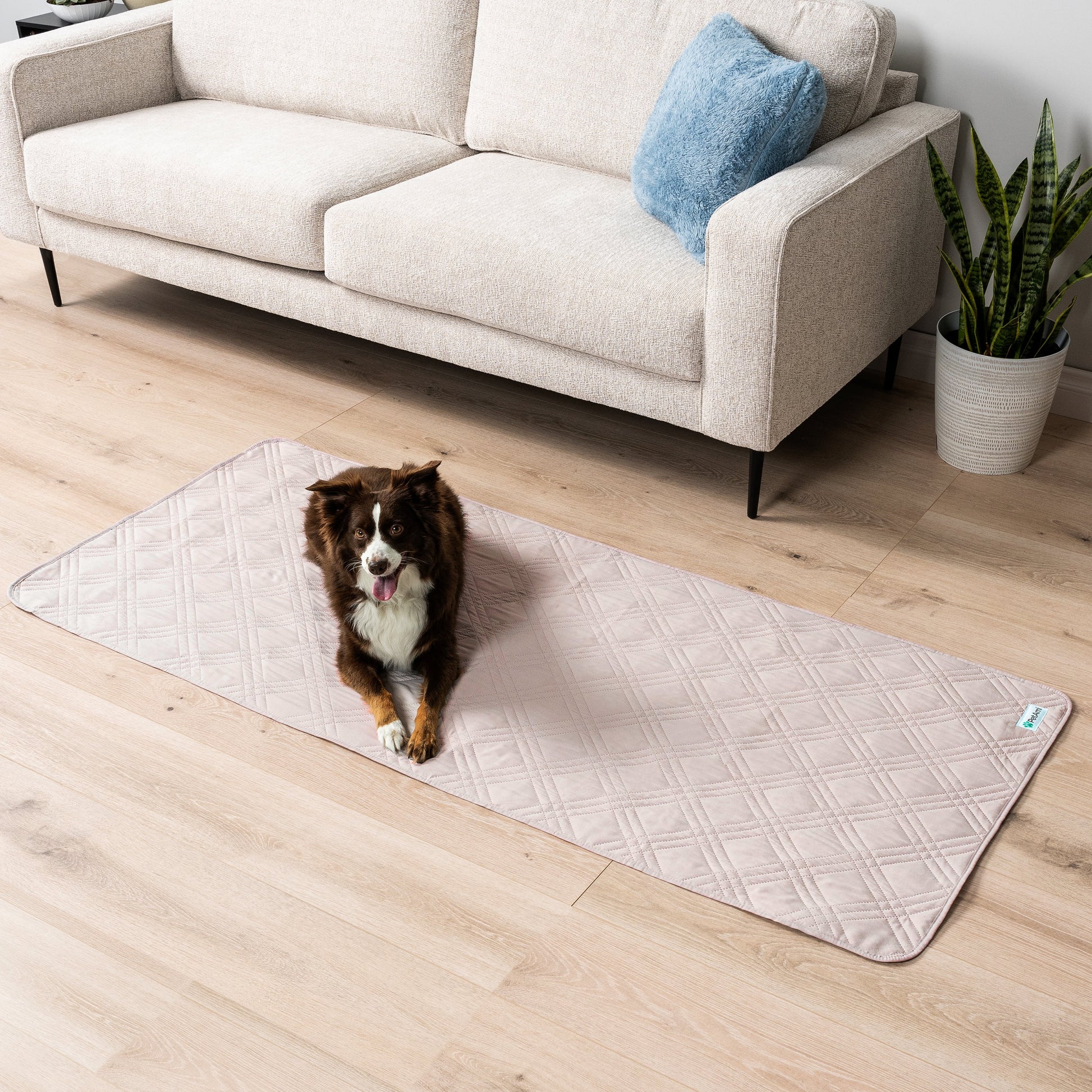 Waterproof Washable Microfiber Polyester Dog Bed Slipcovers, Beige
