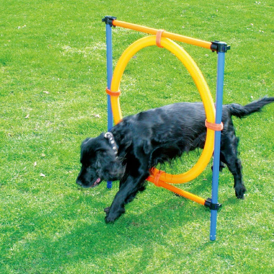 Dog Training Exercise Equipment,Puppy Agility Training Kit, Jump Ring Outdoor,Playground Equipment Outdoor,Dog Agility Jumps for Backyards, Parks, and Playgrounds