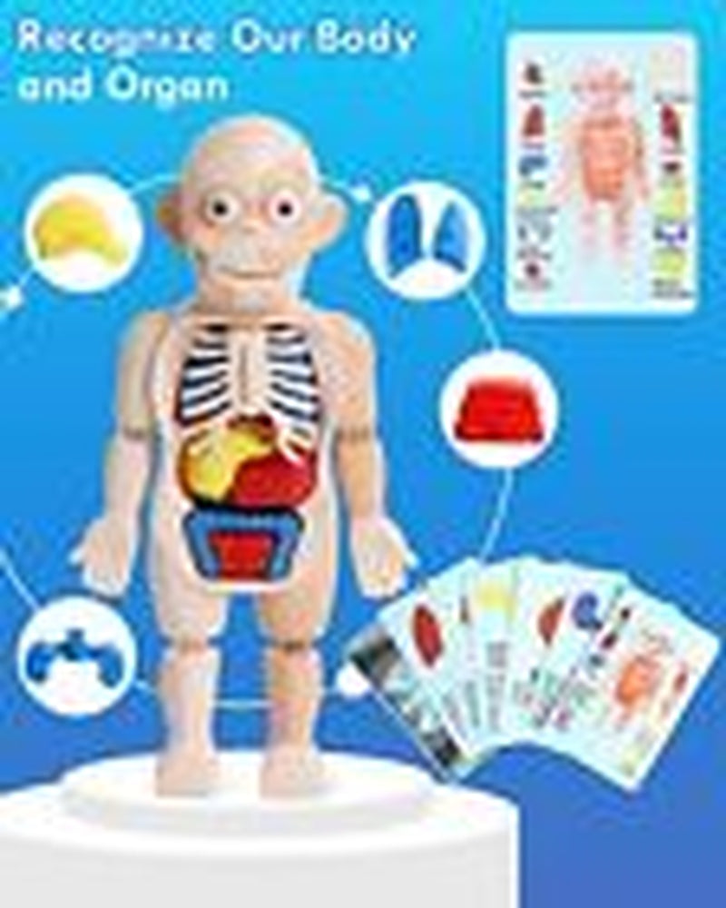Doctor Kit for Kids Realistic, Kids Doctor Kit Wooden, Pretend Doctor Playset