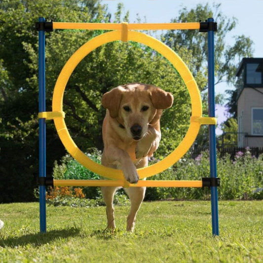 Dog Training Exercise Equipment,Puppy Agility Training Kit, Jump Ring Outdoor,Playground Equipment Outdoor,Dog Agility Jumps for Backyards, Parks, and Playgrounds