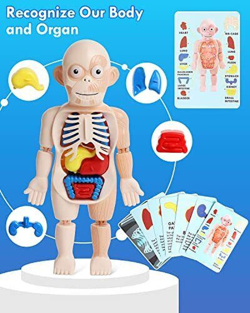 Doctor Kit for Kids Realistic, Kids Doctor Kit Wooden, Pretend Doctor Playset